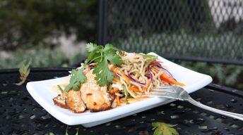 Teriyaki Chicken and Asian Noodle Salad